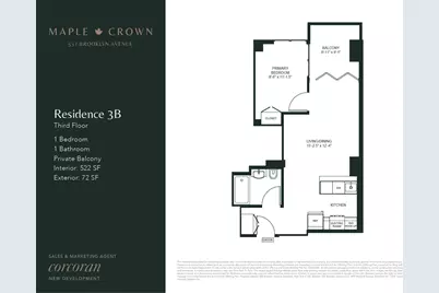 537 Brooklyn Avenue #3B, New York City, NY 11225 - Photo 13