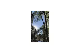 30 E 22nd St, New York City, NY 10010 - Photo 11
