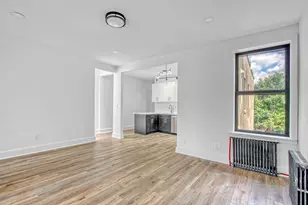 323 Midwood St, Brooklyn, NY 11225 - Photo 3