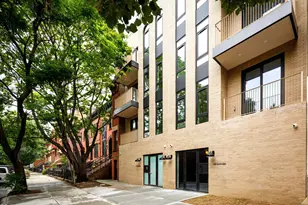 269 Bainbridge St., Brooklyn, NY 11233 - Photo 9