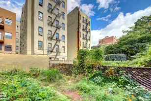 323 E 116th St, New York, NY 10029 - Photo 11