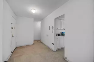 191 Willoughby St, New York City, NY 11201 - Photo 3