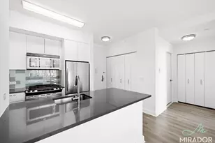80 Dekalb Ave, New York City, NY 11201 - Photo 3