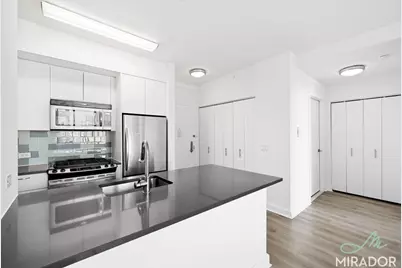 80 Dekalb Avenue #24D, New York City, NY 11201 - Photo 3