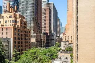 333 E 55th St, New York, NY 10022 - Photo 9