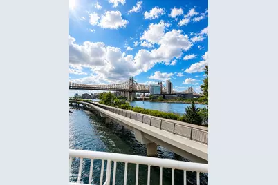 434 E 52nd Street #10EF, New York City, NY 10022 - Photo 47