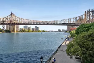 425 E 63rd St, New York City, NY 10065 - Photo 11