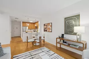 425 Main St, New York City, NY 10044 - Photo 3