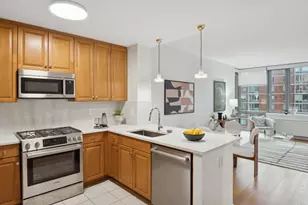 425 Main St, New York City, NY 10044 - Photo 1