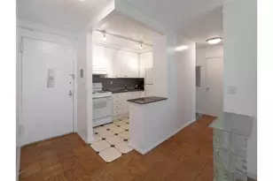 333 E 45th St, New York City, NY 10017 - Photo 3