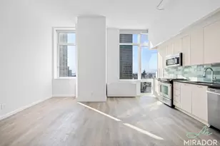 80 Dekalb Ave, Brooklyn, NY 11201 - Photo 5