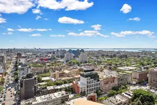 1 Hanson Pl, New York City, NY 11243 - Photo 9