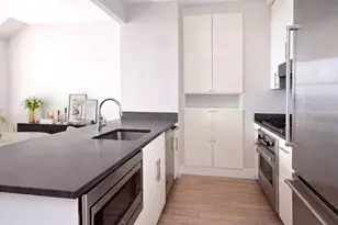1 Hanson Pl, Brooklyn, NY 11243 - Photo 3