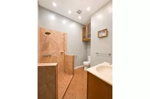 253 Troy Ave, Brooklyn, NY 11213 - Photo 9