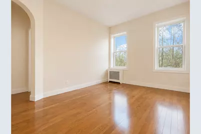 253 Troy Avenue, Brooklyn, NY 11213 - Photo 15