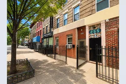 253 Troy Avenue, Brooklyn, NY 11213 - Photo 23