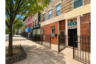 253 Troy Ave, Brooklyn, NY 11213 - Photo 23