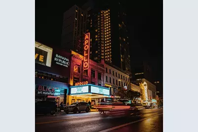 252 W 136th Street, New York City, NY 10030 - Photo 21