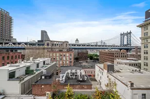 168 Plymouth St, New York City, NY 11201 - Photo 19