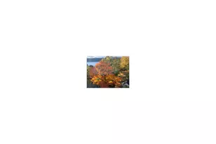 735 Kappock St, New York City, NY 10463 - Photo 29