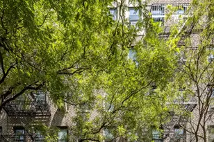 253 W 16th St, New York, NY 10011 - Photo 9