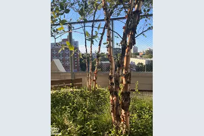535 Dean Street #408, Brooklyn, NY 11217 - Photo 13