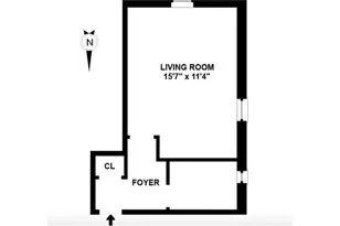 48 W 138th St, New York, NY 10037 - Photo 7