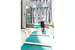 15 William St, New York City, NY 10005 - Photo 23