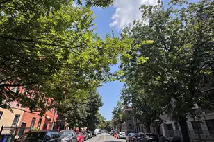 225 Madison St, Brooklyn, NY 11216 - Photo 5
