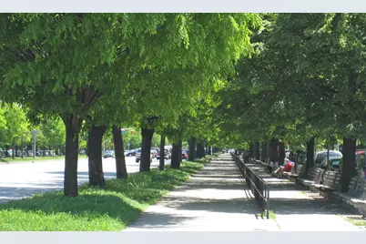 1802 Ocean Parkway #D14, Brooklyn, NY 11223 - Photo 9