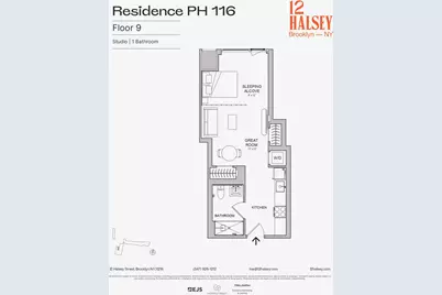 12 Halsey Street #PH-116, Brooklyn, NY 11216 - Photo 9