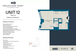 251 Douglass St, Brooklyn, NY 11217 - Photo 9