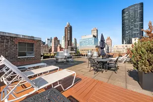 333 E 66th St, New York City, NY 10065 - Photo 9
