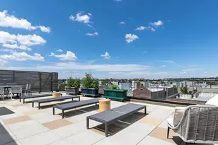264 Webster Ave, New York City, NY 11230 - Photo 17