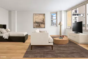 555 Main St, New York City, NY 10044 - Photo 3