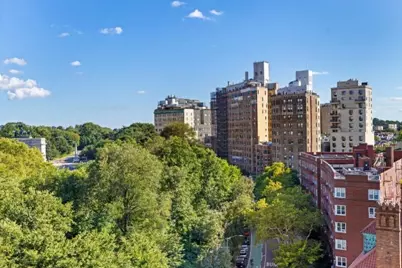 1 Plaza Street W #11B, New York City, NY 11217 - Photo 11