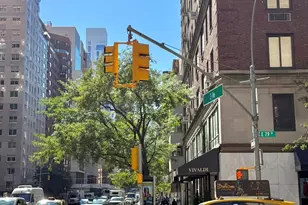 225 E 79th St, New York City, NY 10075 - Photo 11