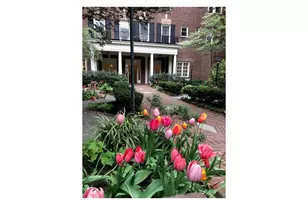 145 Hicks St, New York City, NY 11201 - Photo 21
