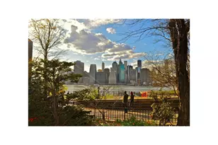 145 Hicks St, New York City, NY 11201 - Photo 23
