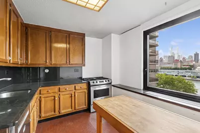 531 Main Street #802, New York, NY 10044 - Photo 7
