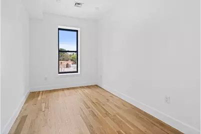 259 E 28th Street #2, Brooklyn, NY 11226 - Photo 11