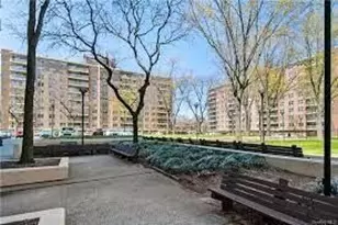 12399 Flatlands Ave, Brooklyn, NY 11207 - Photo 9