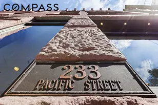 233 Pacific St, Brooklyn, NY 11201 - Photo 21