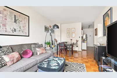 455 Fdr Drive #B1203, New York, NY 10002 - Photo 3