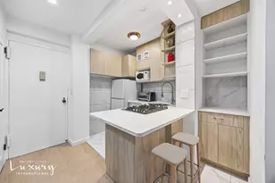 333 E 46th St, New York City, NY 10017 - Photo 13