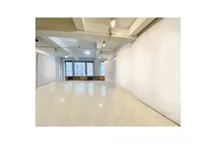 249 W 29th St, New York City, NY 10001 - Photo 3