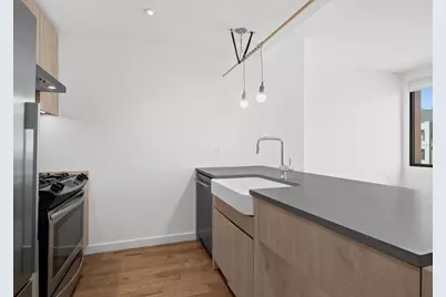 54 Noll Street #359, Brooklyn, NY 11206 - Photo 3