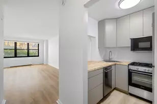 315 E 65th St, New York City, NY 10065 - Photo 3