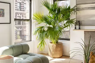 203 W 112th St, New York City, NY 10026 - Photo 5