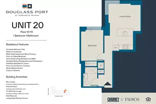 251 Douglass St, Brooklyn, NY 11217 - Photo 9